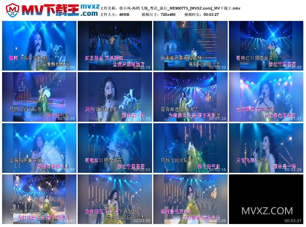 徐小凤-海鸥飞翔_粤语_流行_ME900773